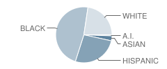 Millennium Middle School Student Race Distribution