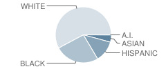 Orange Park Junior High School Student Race Distribution