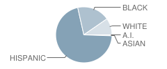 Golden Terrace Elementary School Student Race Distribution