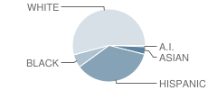 Osceola Elementary School Student Race Distribution