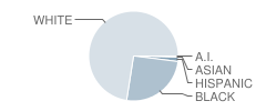 Five Points Elementary School Student Race Distribution