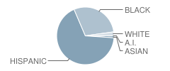 Campbell Drive Elementary School Student Race Distribution