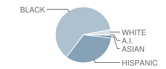 Colonial Drive Elementary School Student Race Distribution