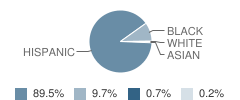 Comstock Elementary School Student Race Distribution