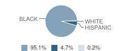 Holmes Elementary School Student Race Distribution