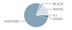 Kenwood K-8 Center School Student Race Distribution