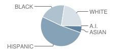 Ludlam Elementary School Student Race Distribution