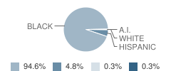 North County Elementary School Student Race Distribution