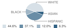 Palmetto Elementary School Student Race Distribution