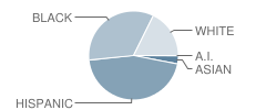 Perrine Elementary School Student Race Distribution