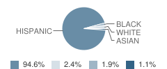 Seminole Elementary School Student Race Distribution