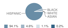 South Hialeah Elementary School Student Race Distribution