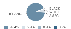 Tropical Elementary School Student Race Distribution