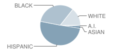 Cutler Ridge Middle School Student Race Distribution