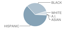 Homestead Middle School Student Race Distribution