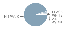 Palm Springs Middle School Student Race Distribution