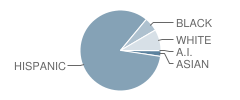 Oliver Hoover Elementary School Student Race Distribution