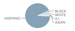 G. Holmes Braddock High School Student Race Distribution