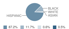 Maya Angelou Elementary School Student Race Distribution