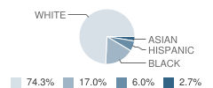 Seabreeze Elementary School Student Race Distribution