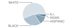 Joseph Finegan Elementary School Student Race Distribution