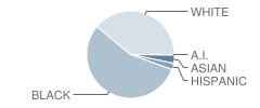 Brentwood Elementary School Student Race Distribution