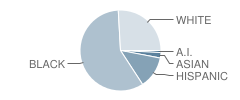 Ensley Elementary School Student Race Distribution