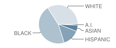 Navy Point Elementary School Student Race Distribution