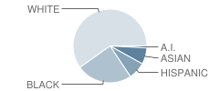 Scenic Heights Elementary School Student Race Distribution