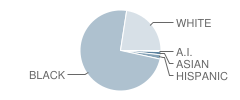 Allie Yniestra Elementary School Student Race Distribution