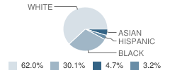Brown Barge Middle School Student Race Distribution