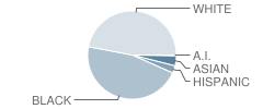 Longleaf Elementary School Student Race Distribution