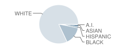 Ransom Middle School Student Race Distribution