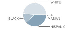 Lake Placid Elementary School Student Race Distribution