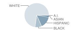 Boyette Springs Elementary School Student Race Distribution