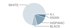 Ballast Point Elementary School Student Race Distribution