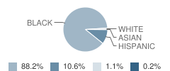 Just Elementary School Student Race Distribution