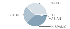 Buchanan Middle School Student Race Distribution