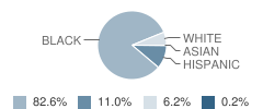 Edison Elementary School Student Race Distribution