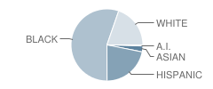 Greco Middle School Student Race Distribution