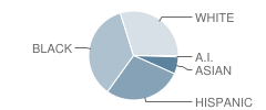 Hillsborough High School Student Race Distribution