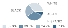 Lanier Elementary School Student Race Distribution