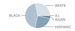 Monroe Middle School Student Race Distribution