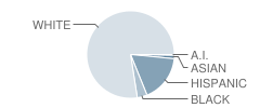 Lutz Elementary School Student Race Distribution