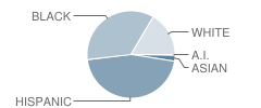 Miles Elementary School Student Race Distribution