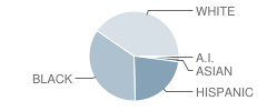 Progress Village Middle School Student Race Distribution