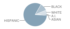 Tampa Bay Boulevard Elementary School Student Race Distribution