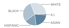 Williams Middle Magnet School Student Race Distribution