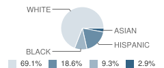 Wilson Middle School Student Race Distribution