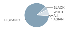 Wimauma Elementary School Student Race Distribution